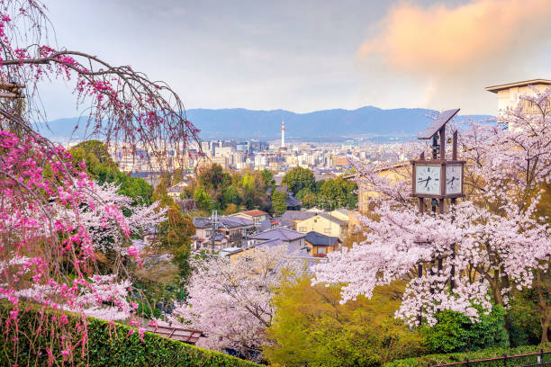 istock Kyoto city skyline with sakura 953805182