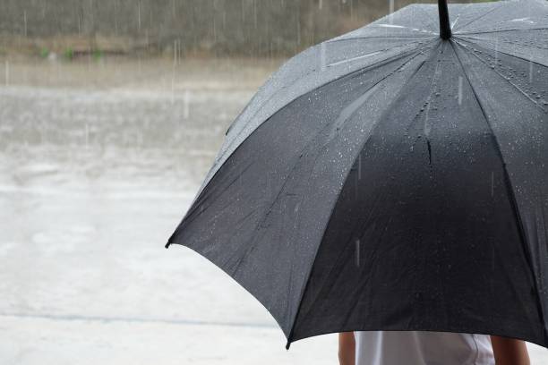 istock a person with black umbrella in the rain 953805536