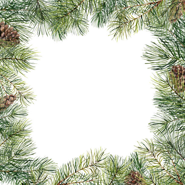 istock Watercolor Christmas tree floral frame with pine cones. Hand painted fir branch, pine cone isolated on white background. Holiday border. Winter card 953806240