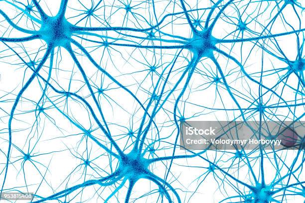 Brain Cell 3d Render Stock Photo - Download Image Now - Nerve Cell, Biological Cell, Human Nervous System
