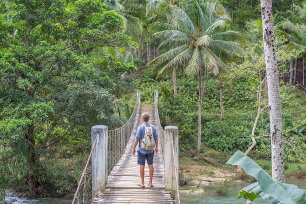 istock Young man on bridge crossing tropical river 953818704