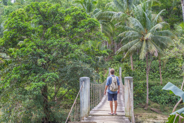 istock Young man on bridge crossing tropical river 953818706