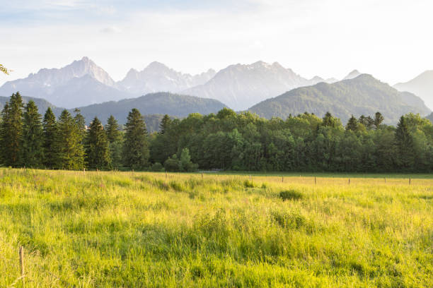 paysage alpin classique - tirol mountain light european alps photos et images de collection