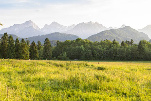 標準的なアルプスの風景 - zugspitze mountain 写真 ストックフォトと画像