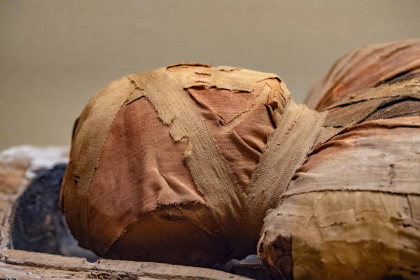 egyptian mummy head close up detail of - pharaonic tomb imagens e fotografias de stock