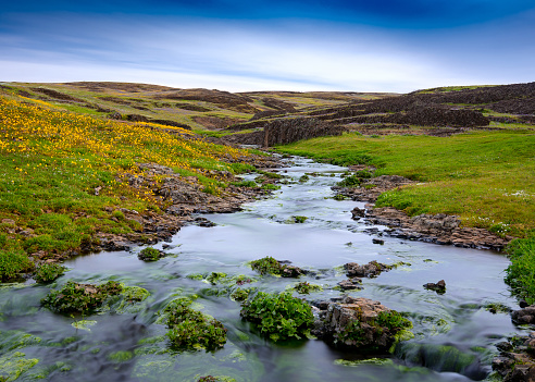 Creek at North Table Mountain Ecological Preserve, Oroville, California, USA , featuring a carpet of yellow wildflowers on a mostly sunny day with blue sky- long exposure