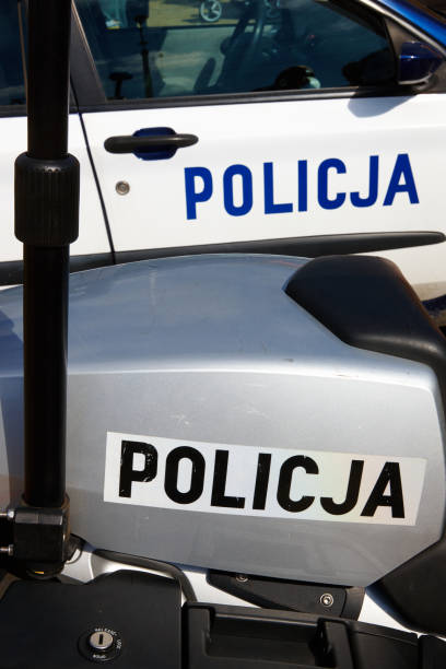 istock Police vehicles standing in street 953825758