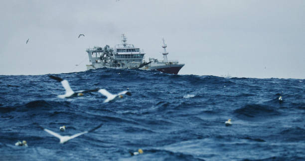 istock Fishing boat sailing out at rough sea 953829400