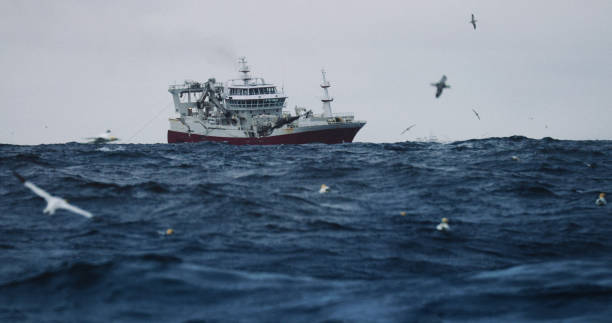 istock Fishing boat sailing out at rough sea 953829430