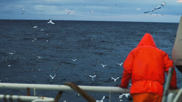 istock Fisherman on the fishing boat deck 953829452