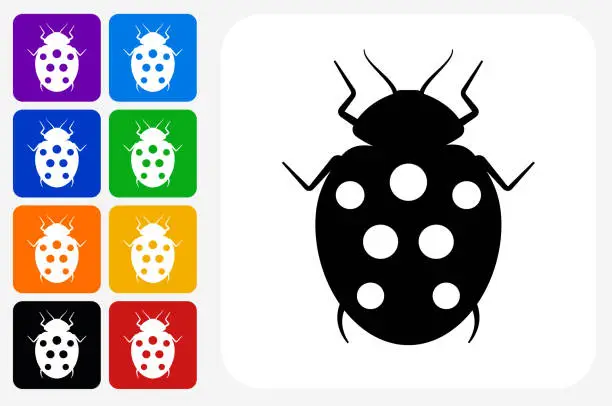 Vector illustration of Lady Bug Icon Square Button Set