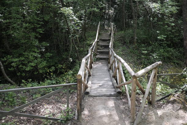 istock sources of the river alento in abruzzo 953835604