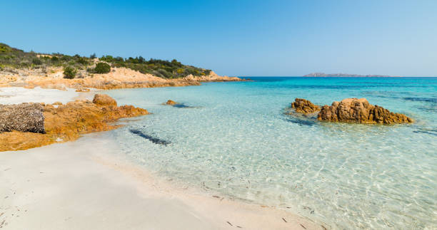 istock clear water in Spiaggia del Principe 953842622