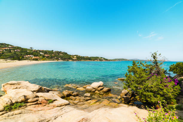istock turquoise sea in Cala Girgolu 953842874