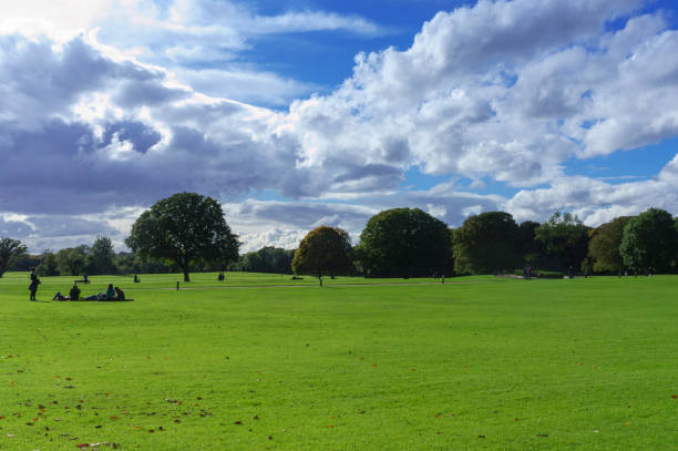 istock The field and trees in Malahide gardens 953848190
