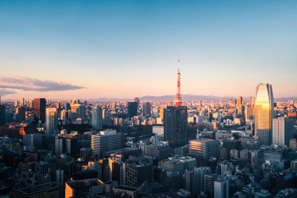 istock Tokyo, Japan skyline with the Tokyo Tower 953848442