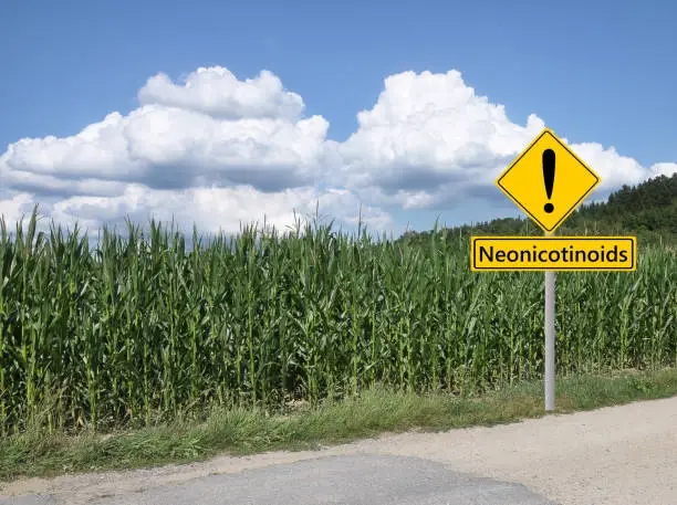 Photo of Warning sign neonicotinoids in front of maize field