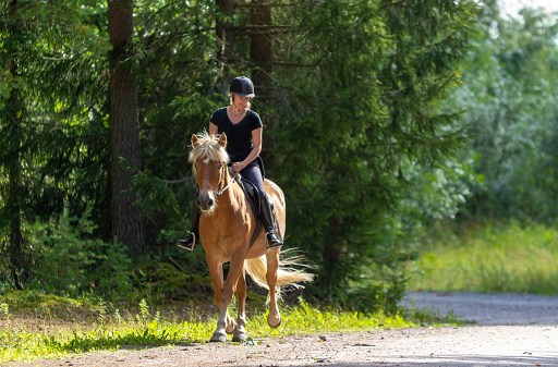 Woman horseback riding in forest