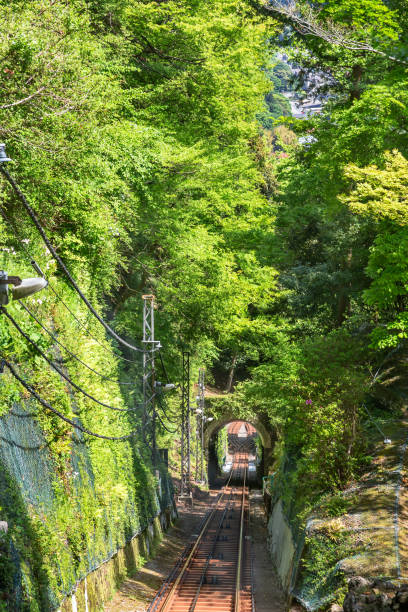 istock Line of fresh green and cable car 953853662