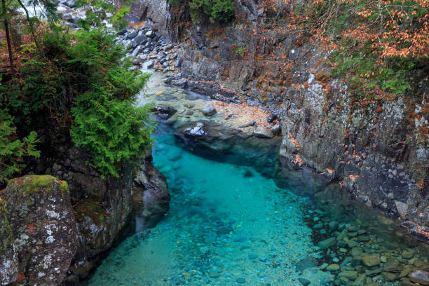 istock Atera river in japan with waterfalls in autumn. 953853866
