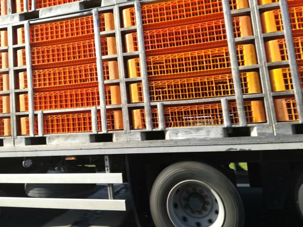 istock moving trucks for transporting live animals 953859684