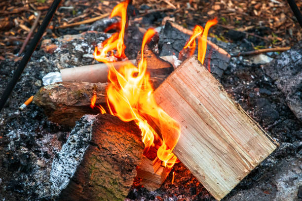 istock Campfire, burning wood at a tourist campsite 953860034