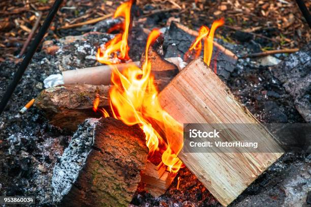 Campfire Burning Wood At A Tourist Campsite Stock Photo - Download Image Now - Activity, Ash, Bonfire