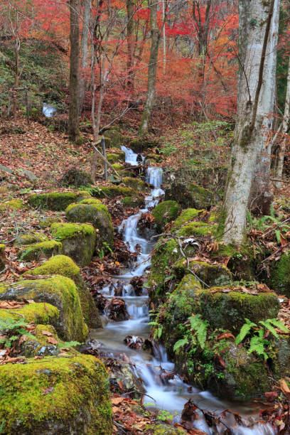 istock Tsukechikyo river in Japan with autumn colors and waterfall 953861984