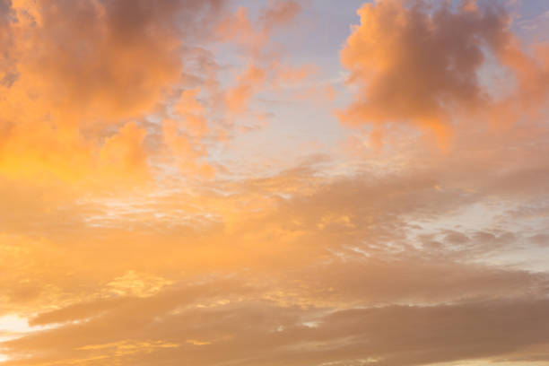 istock Blurry colorful of sunset, nature background 953866106