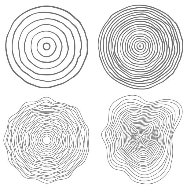 vektor konzeptioneller hintergrund mit jahrringen baum schneiden stumpf haken. - tree ring stock-grafiken, -clipart, -cartoons und -symbole