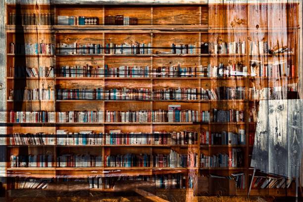 View of crowded books shelves