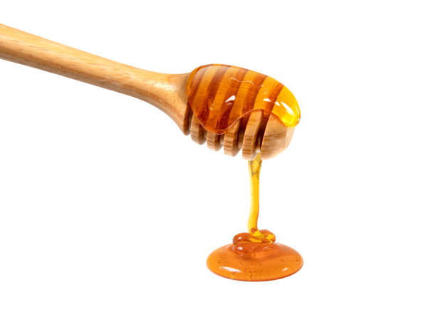 istock honey and honey comb with wooden stick 953870498