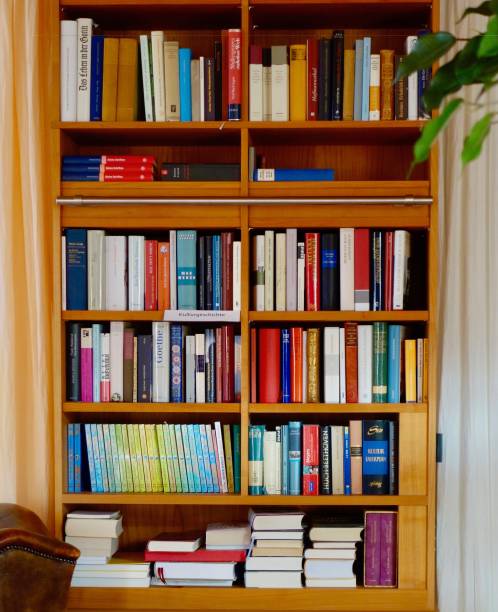 istock View of fully packed books shelves 953875778