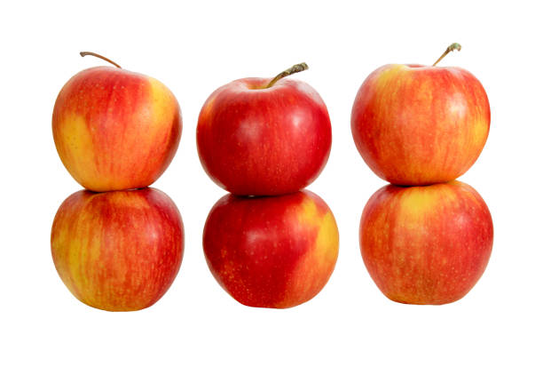 istock ripe red apples on a white background 953878880
