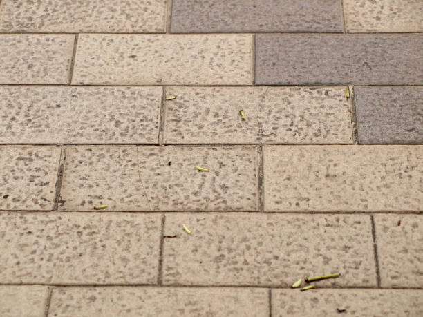 istock pavement Background of grey cobble stones 953892034
