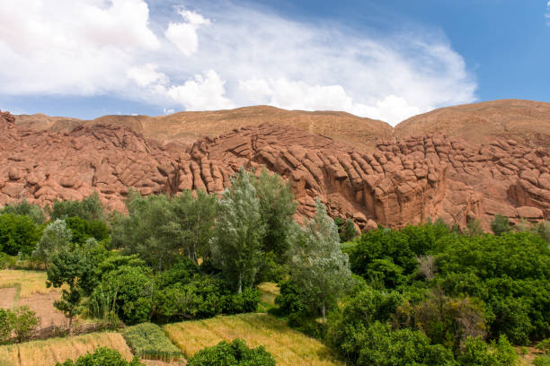 istock Morocco desert and landscape 953893468
