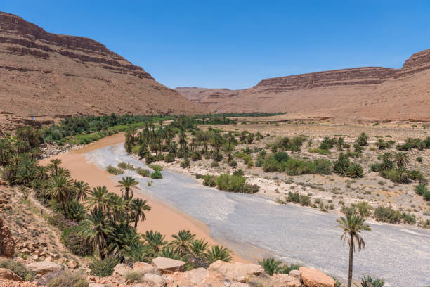 istock Morocco desert and landscape 953893826