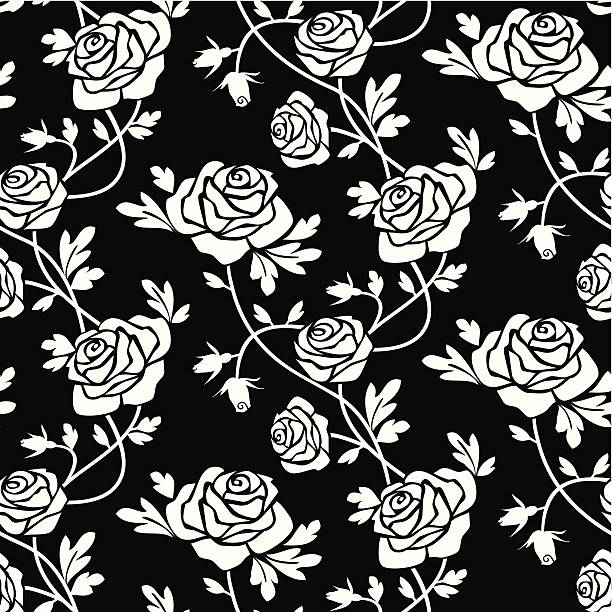 Rosas negras en blanco - ilustración de arte vectorial