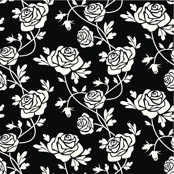 Rosas brancas em preto - ilustração de arte vetorial