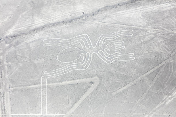 istock Nazca lines from the aircraft 953912268