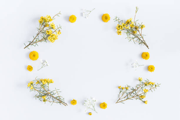 istock Yellow flowers on gray background. Flat lay, top view 953915792