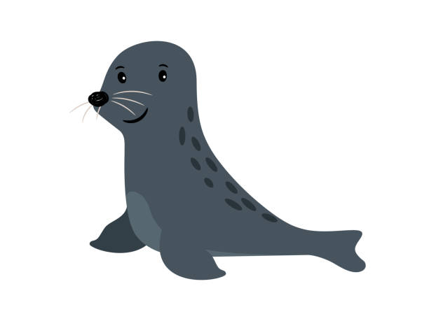 Seal cute sea animal icon Seal cute sea animal icon isolated on white, vector illustration seal animal stock illustrations