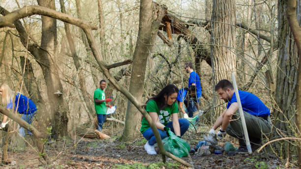 istock Volunteers collecting garbage in woods 953918356