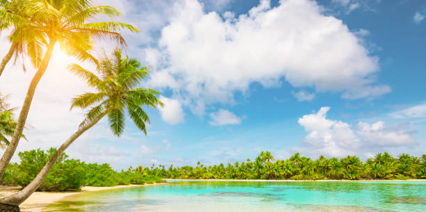 istock Tropical Island with palm trees. 953924340