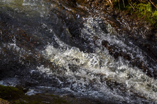istock Wild wild flow in the forest. Boiling stream. Forest nature. 953924998