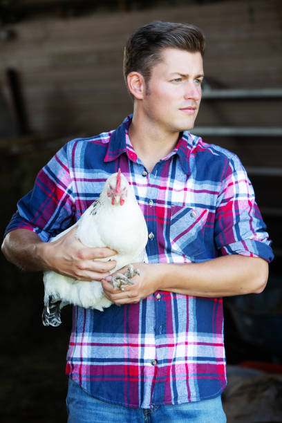 istock handsome blond farmer holding a white chicken 953928090