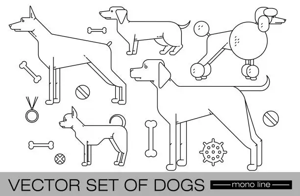 Vector illustration of Set of dogs.
