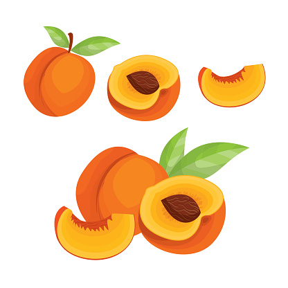 Peach. Vector set  in cartoon style. Isolated  fruits