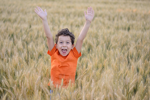Smiling Boy with raised arms in wheat field in late summer.  Wheat is ripe.  Time of harvesting.