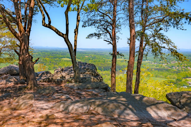 istock Scenic Overlook in North Georgia 953952328